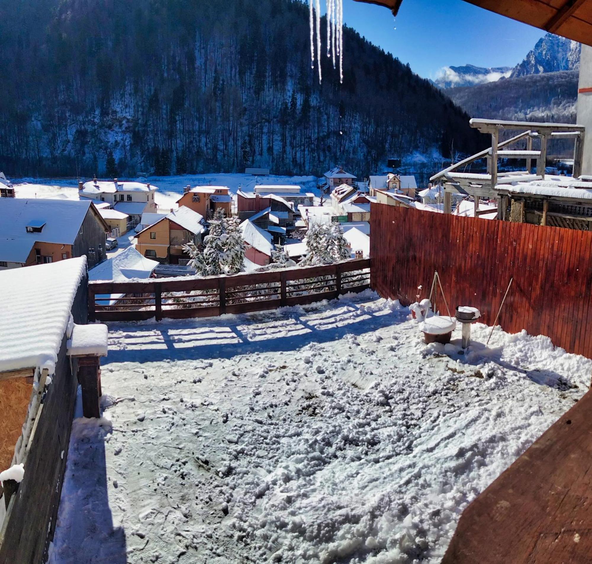 Doi Iepuri Apartment Азуга Екстериор снимка