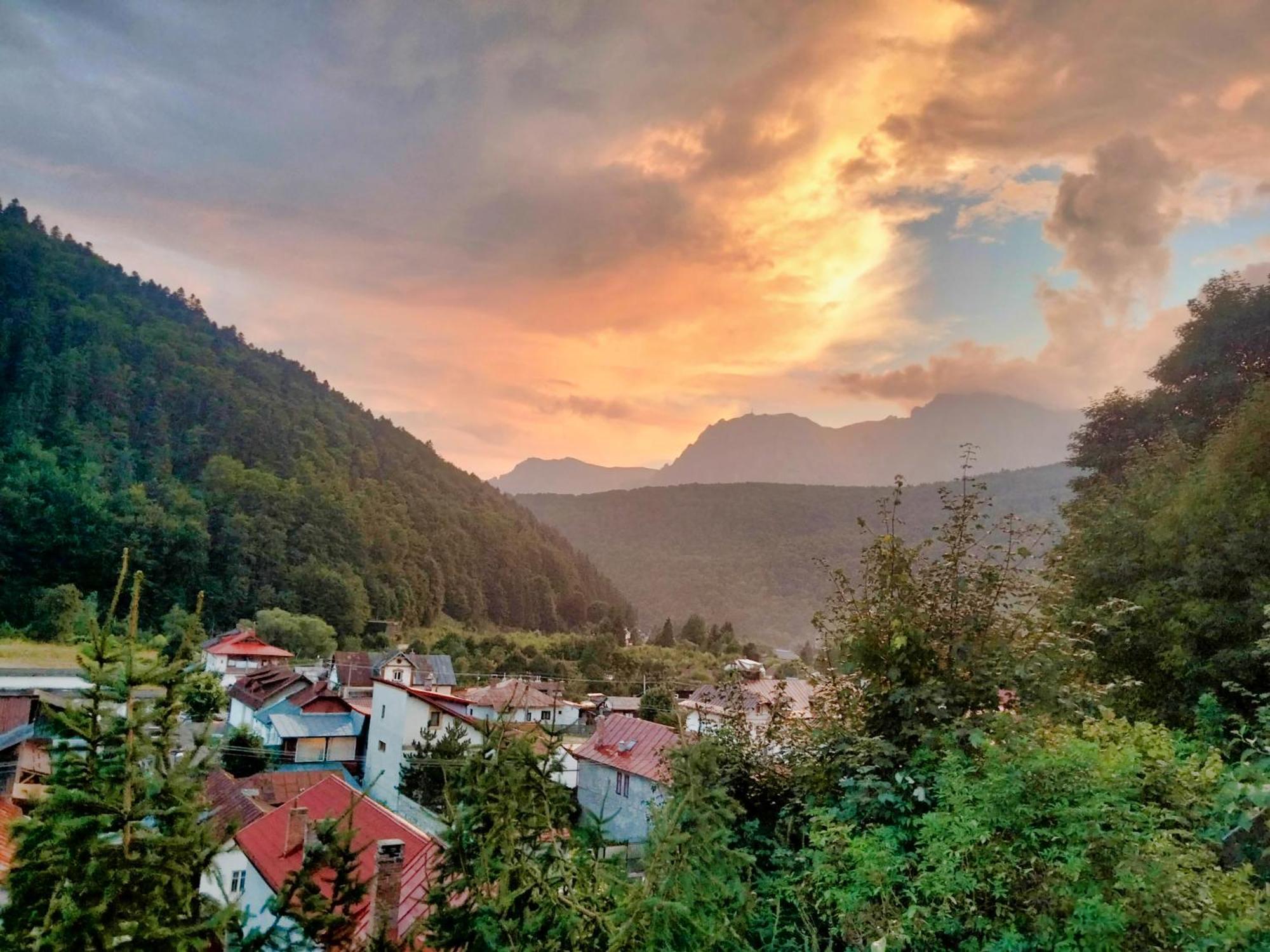 Doi Iepuri Apartment Азуга Екстериор снимка